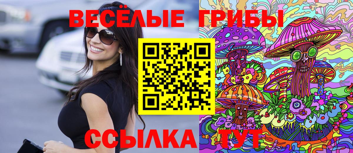 Псилоцибиновые грибы Cubensis Сергиев Посад